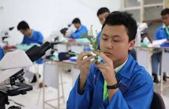 Pendaftaran Beasiswa Indonesia Maju 2022 Telah Dibuka